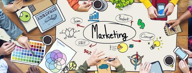 What to Look for in a Professional Web Development and Internet Marketing Agency